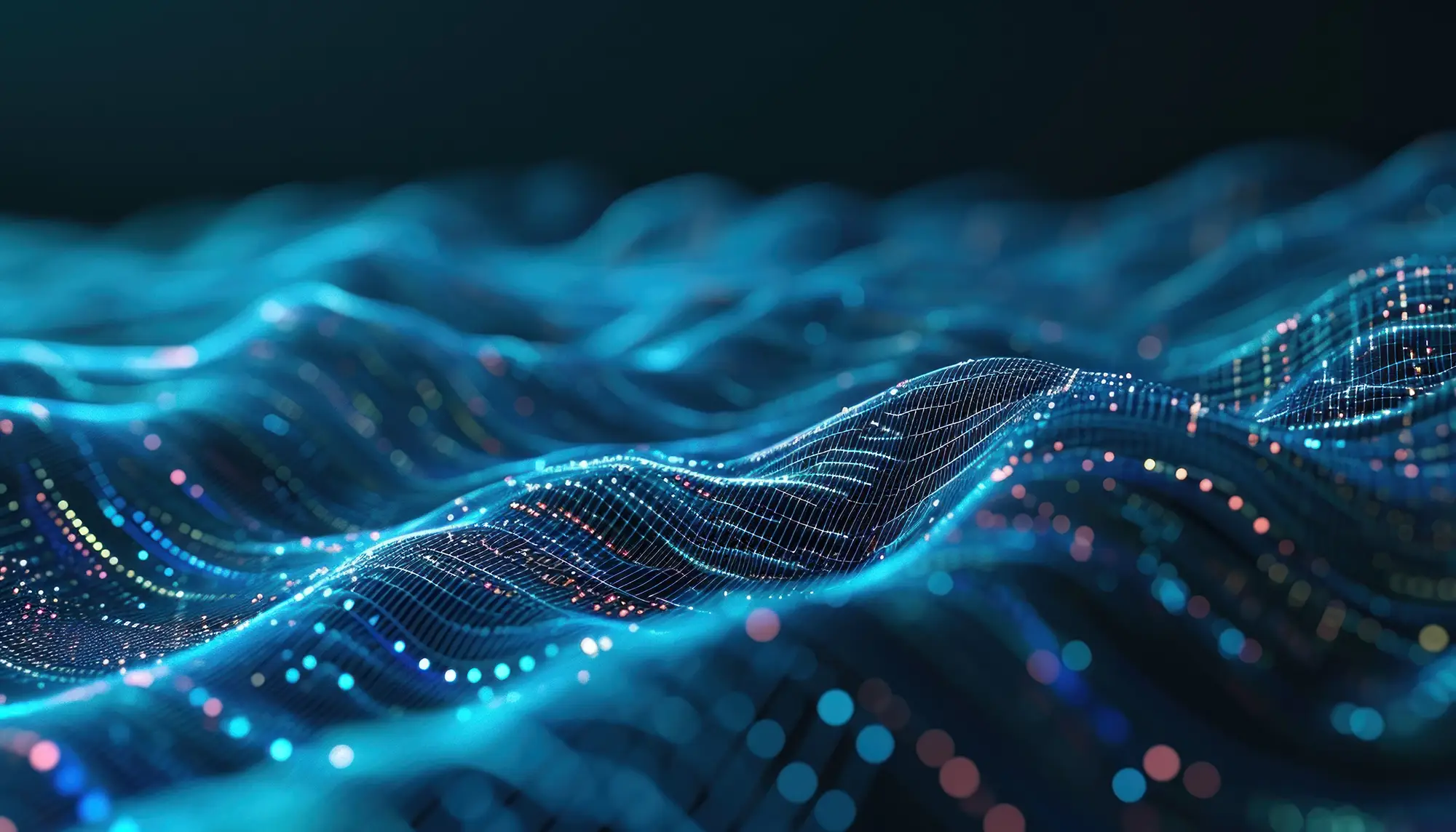 Développement Web application sur mesure - Contactez Erminig